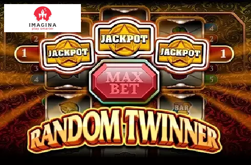 Random Twinner